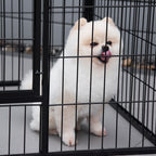 Parque para Animais de Estimação Retangular Gaiola para Cães 4 Paineis de Metal com Porta e Dupla Fechadura Cerca de Treinamento 129x84x70cm Preto — foto 7