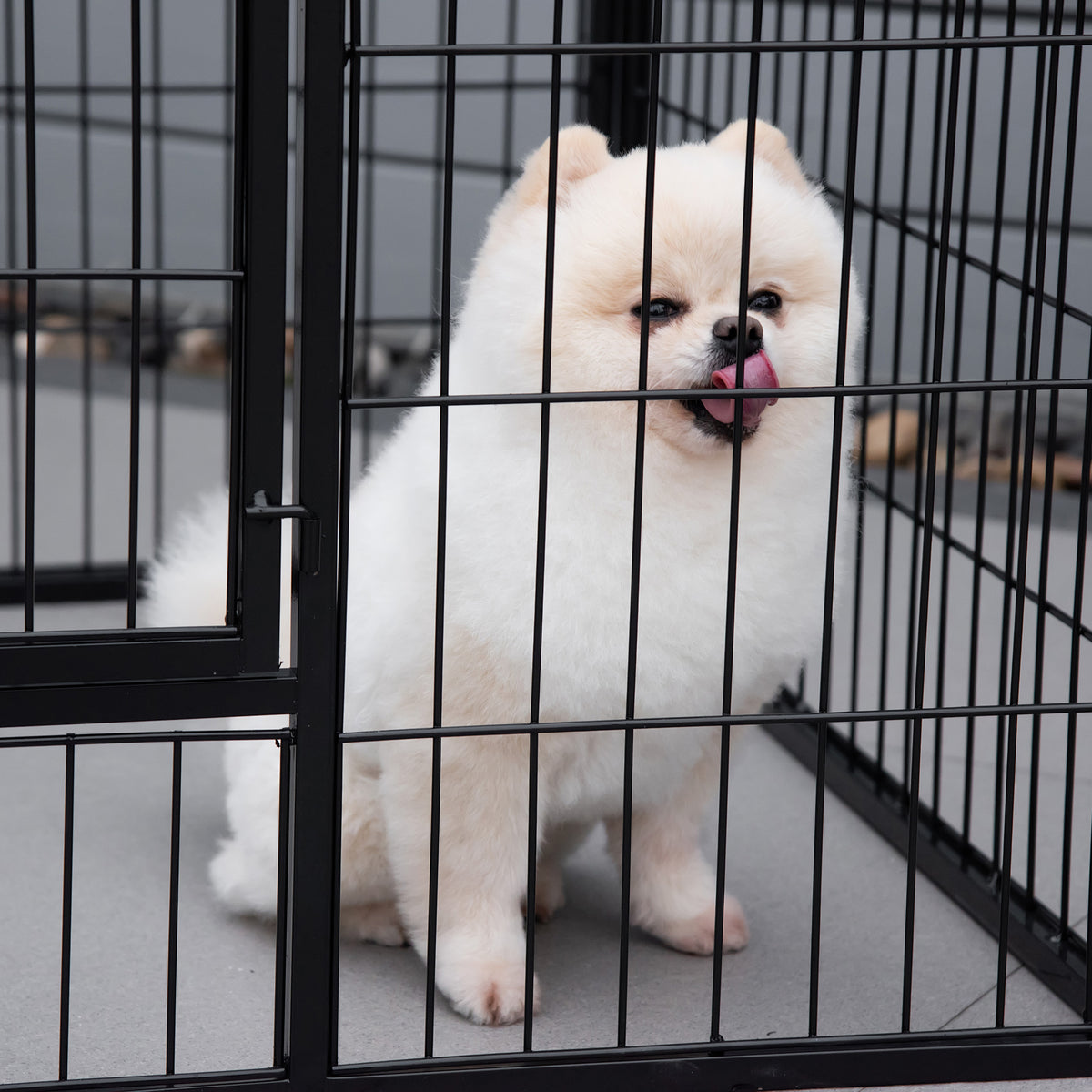 Parque para Animais de Estimação Retangular Gaiola para Cães 4 Paineis de Metal com Porta e Dupla Fechadura Cerca de Treinamento 129x84x70cm Preto — foto 7