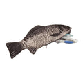 Estojo de lápis em forma de peixe, bolsa de caneta de peixe, bolsa de moedas, estojo de lápis engraçado — foto 1 (fundo branco)