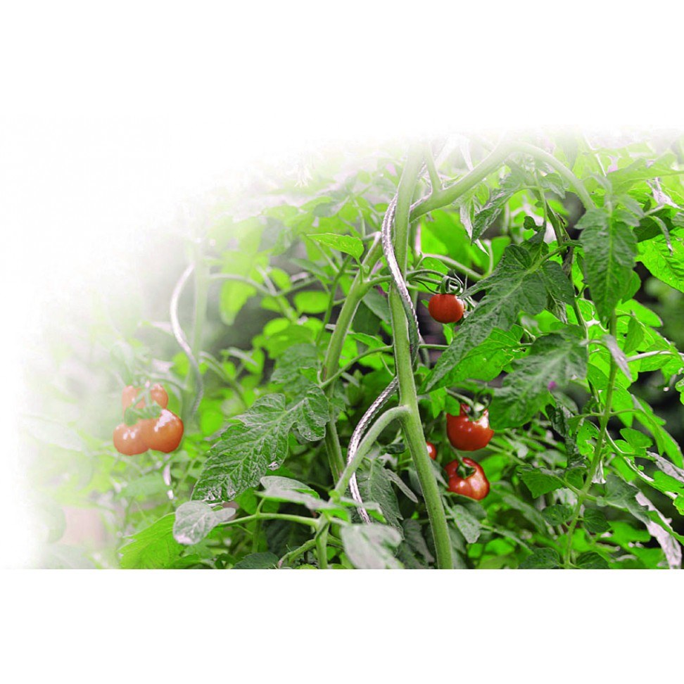 Tutor Tomate Espiral 180cm — foto 1