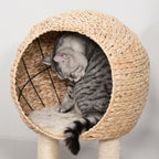 Árvore arranhador para gatos Torre de escalada com plataformas caverna corda de brincar poste de sisal 48x40x100 cm Bege — foto 7