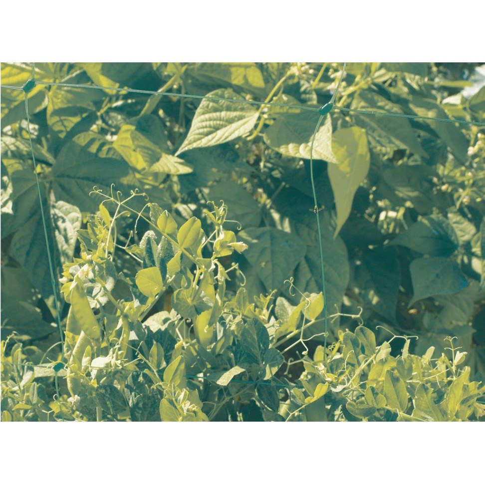 Rede Tutora 1x5m Verde — foto 3