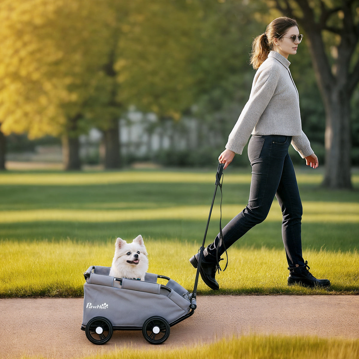 Carrinho para Cão Carrinho para Cão Pequeno Dobrável a 4 Rodas com Haste de Empurrar Ajustável 53x45x28 cm Cinza — imagem 3
