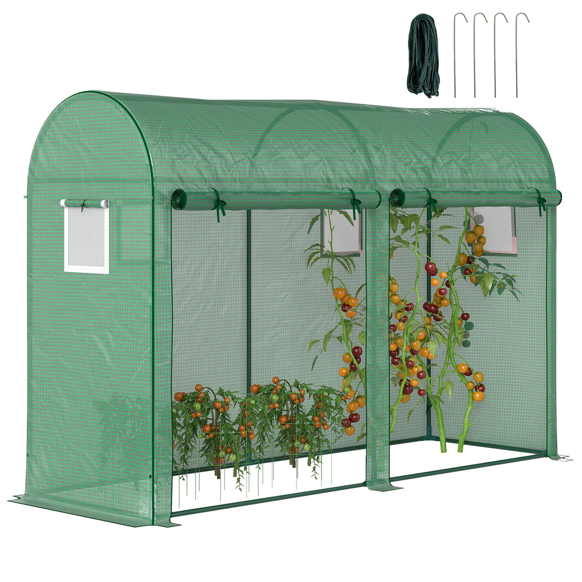 Estufa Jardim Tipo Túnel com 4 janelas e 2 portas para Plantas de PE de aço 300x100x200 cm Verde — foto 1