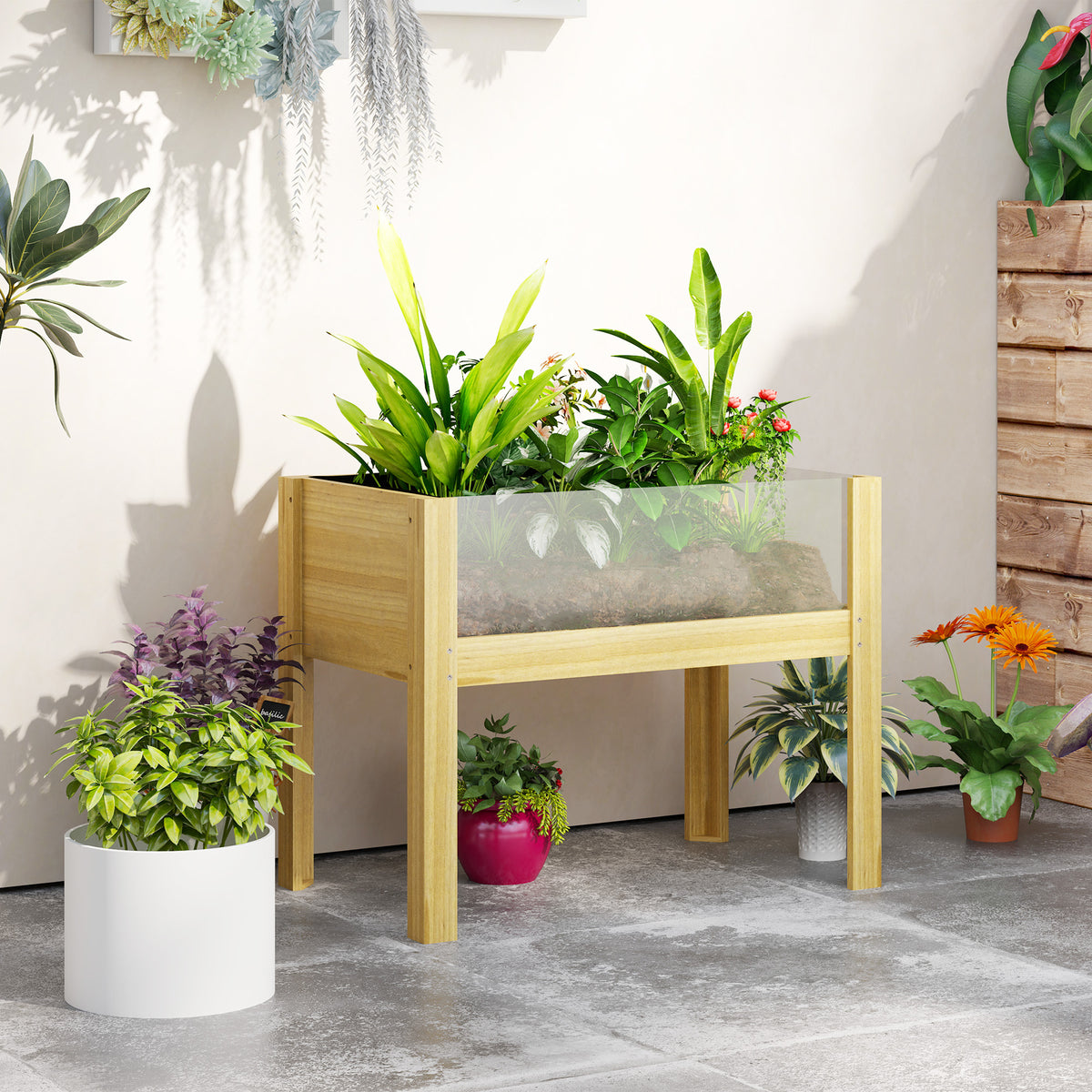 Floreira de Madeira Mesa de Cultivo com Painéis de Acrílico Floreira Elevada para Cultivo de Flores Vegetais em Jardim Varanda 75x46x60,5 cm Madeira — foto 2