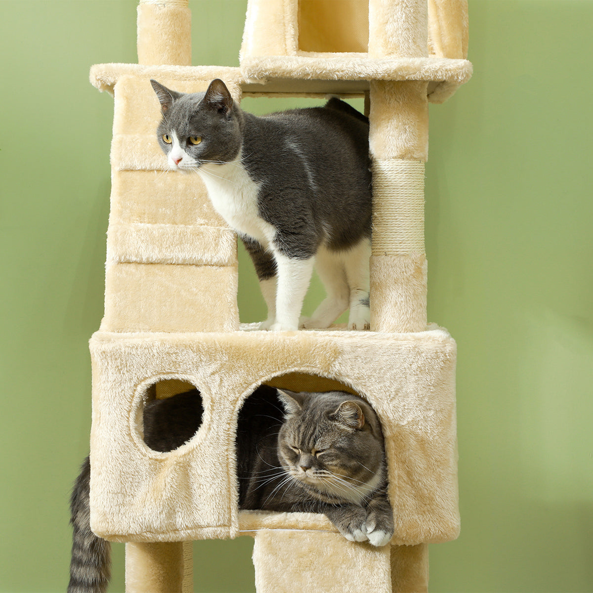Arranhador para Gatos Grande 49x49x173 cm com Múltiplos Níveis Cavernas Brinquedos Suspensos Centro de Atividades de Sisal Bege — foto 8