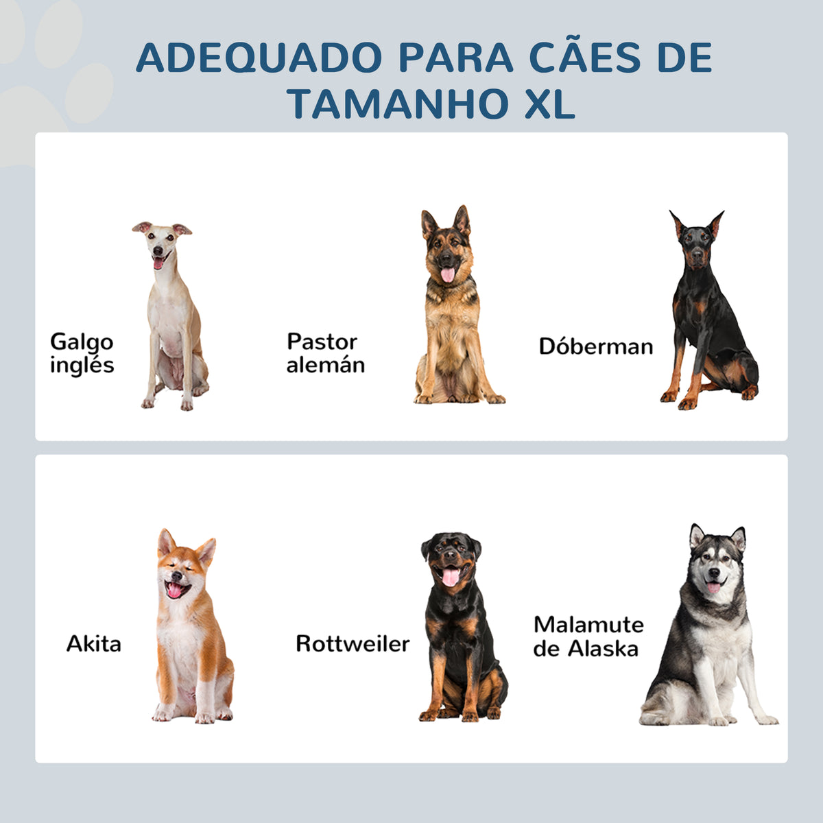 Comedouro Elevado para Cães Comedouro para Cães com 2 Tigelas de Aço Inoxidável e Espaço de Armazenamento Oculto 60x30x41 cm Branco — foto 4