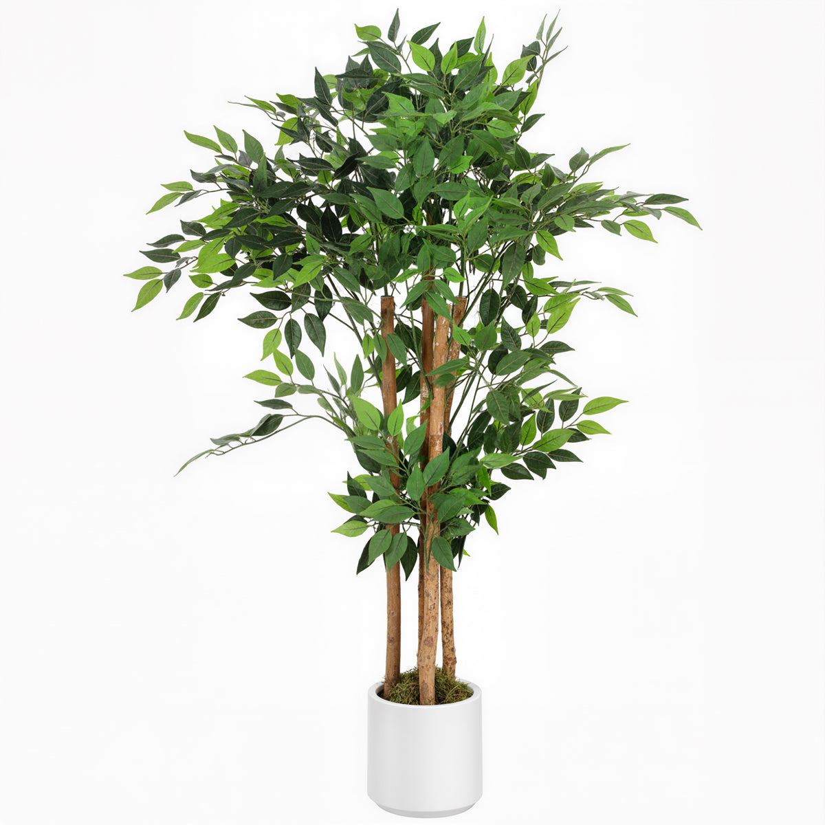 Planta Artificial de Baniano Verde em PEVA e Madeira com Vaso em PP e Cimento 55x55x120 cm — foto 1