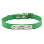 Coleira para cães personalizada com placa gravada, verde XXS 17-22 cm — foto 1