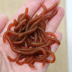 BURLE Iscas macias vermelhas com cheiro de peixe realista, simulação de minhoca, minhocas vermelhas — foto 3
