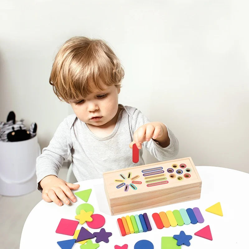 Brinquedo de madeira de classificação de formas, 12 compartimentos — foto 3