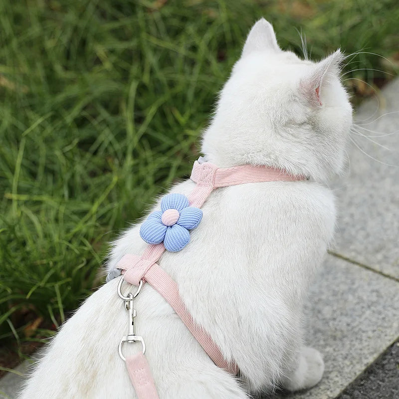Conjuntos de arnês e coleira para gatos, arnês ajustável para cães pequenos — foto 2