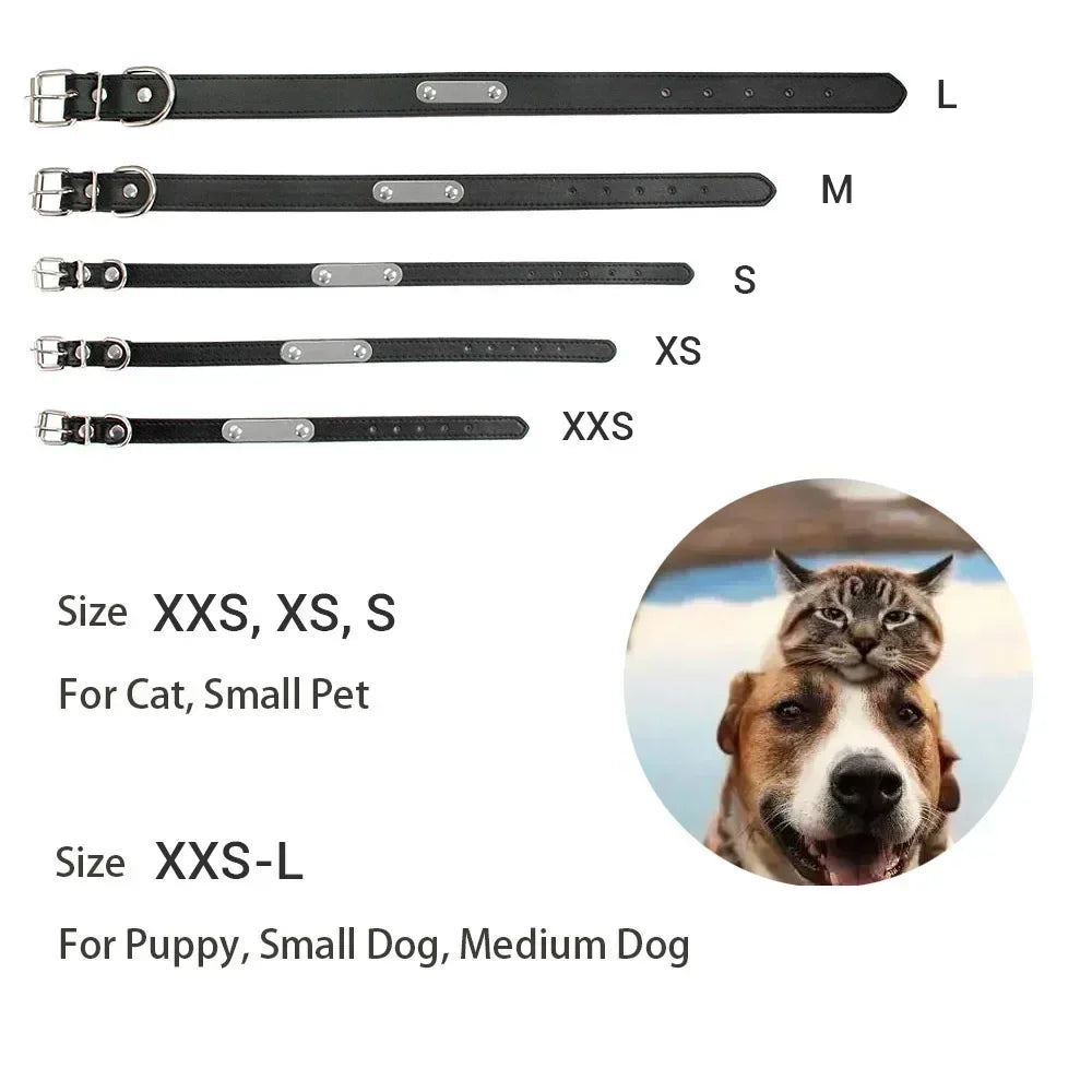 Coleira para cães personalizada com placa gravada, verde XXS 17-22 cm — foto 6