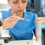 Pipeta descartável de plástico de 3 ml, graduada — foto 4