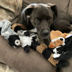 Brinquedo de pelúcia sem recheio com rangido para cães — foto 7