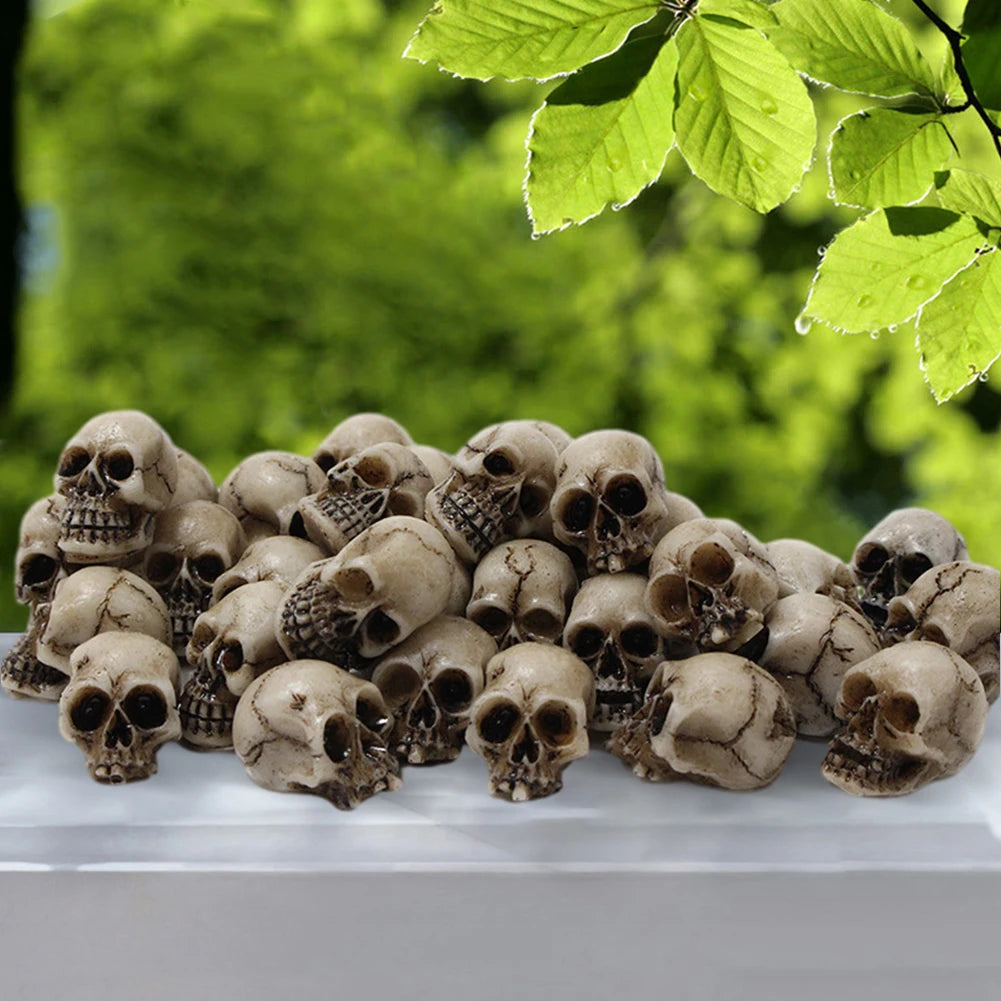 Mini Crânio Miniatura Colecionável, Cabeças de Crânios, Tema Festival Criativo, Jardim Paisagem — foto 3