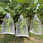 50 sacos de rede para proteção de frutos 17 x 27 cm — foto 3