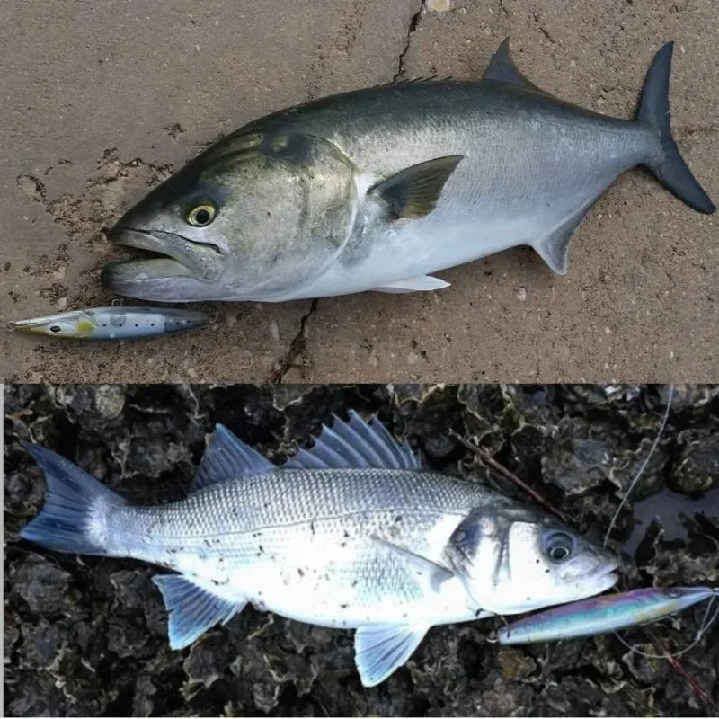 Isca Artificial Flutuante de Superfície Tipo Stickbait 90 mm 12 g — foto 8