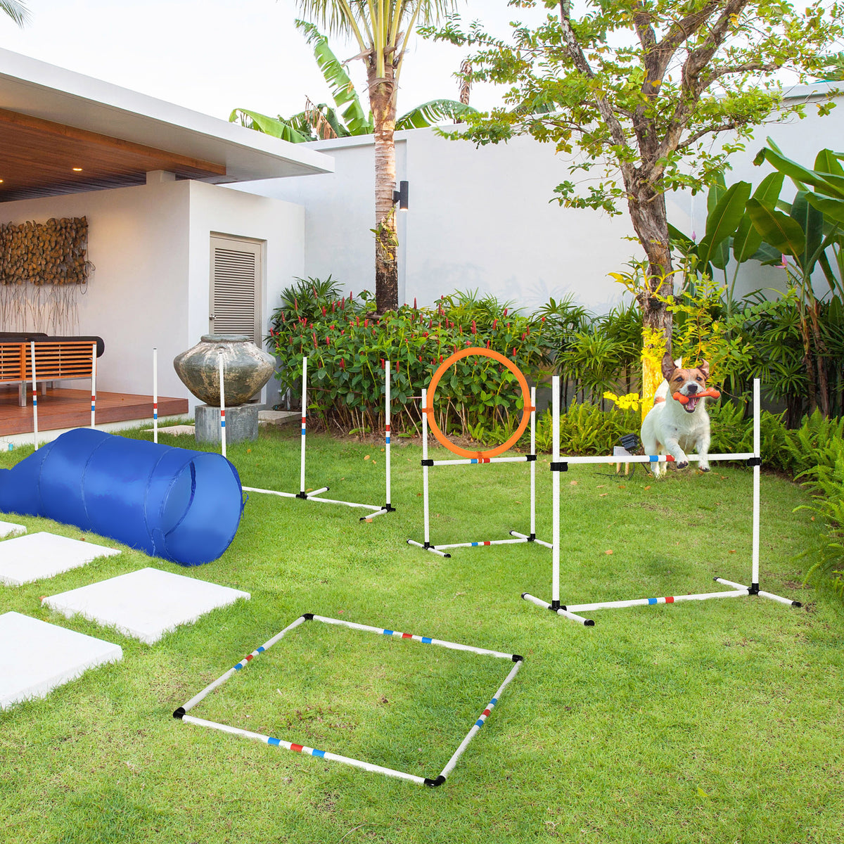 Conjunto de Treino de Agility para Cães com Ø60x300cm Túnel Salto Obstáculos e Bolsa de Transporte Incluída Branco e Azul — foto 2