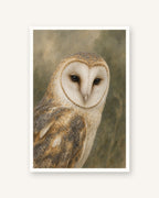 Coruja · Quadro de animais — acabamento:poster