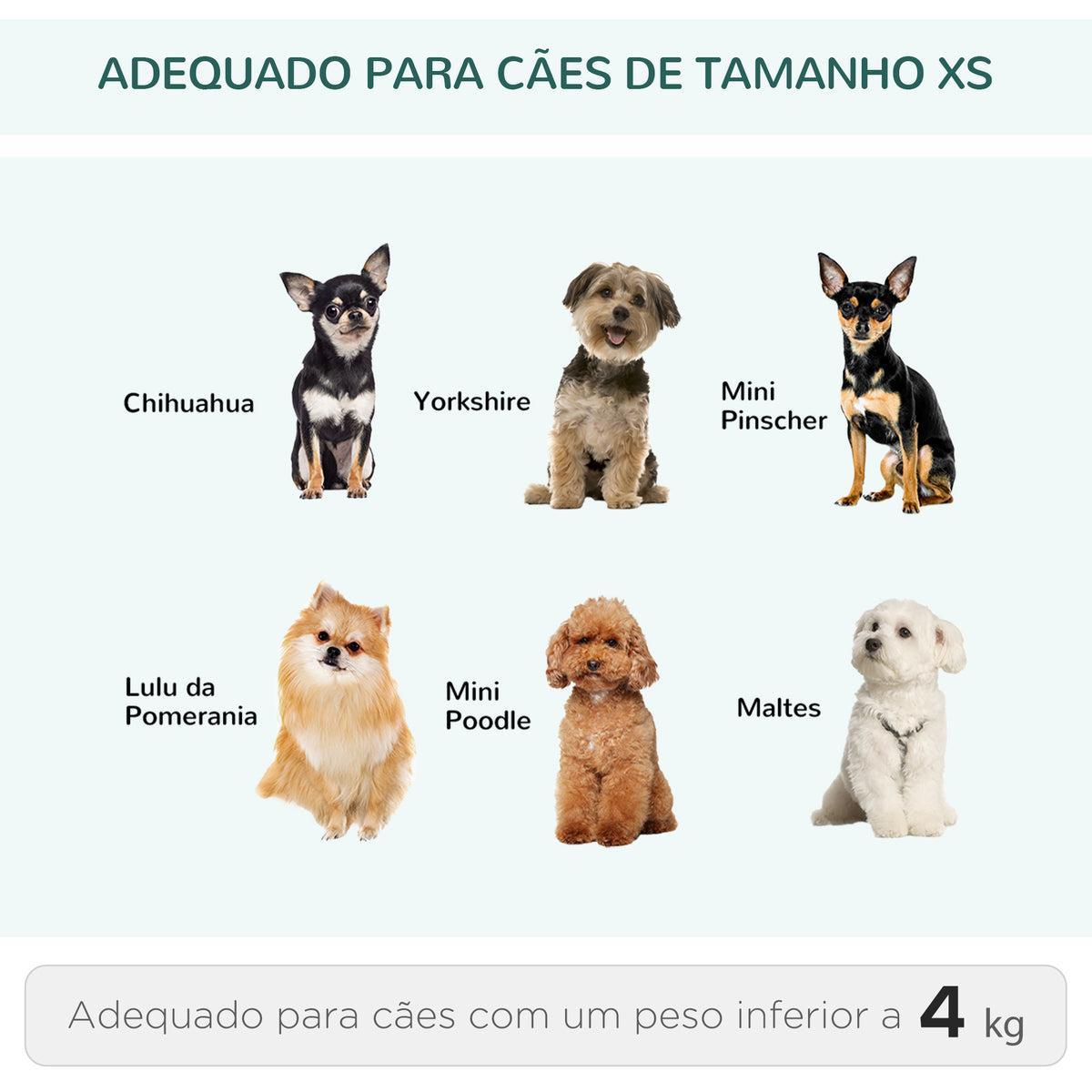 Transportadora 2 em 1 para Animais de Estimação Mochila ou Carrinho de Viagem para Cães e Gatos com 2 Rodas Alça Retrátil de Alumínio e Bolso de Armazenamento 42x25x55cm Verde — foto 4