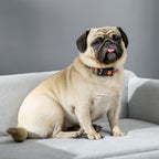 Sofá para Cães Médios Cama Elevada para Cães com Pernas de Madeira Cama para Animais de Estimação Capacidade 20 kg 82x54x36 cm Cinzento — foto 8