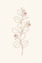 Eucalipto · Line art · Quadro botânico — botanica-eucalipto-lineart_ver