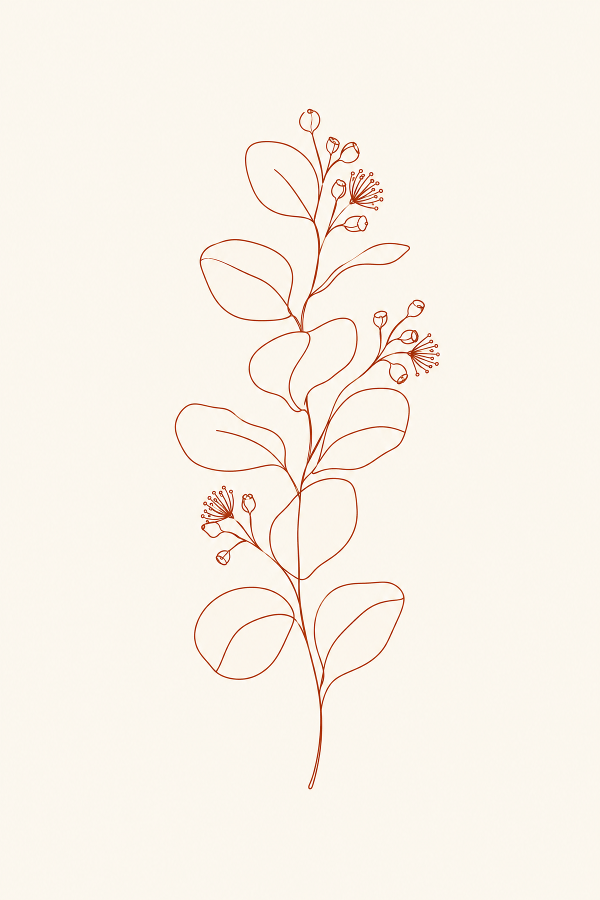 Eucalipto · Line art · Quadro botânico — botanica-eucalipto-lineart_ver
