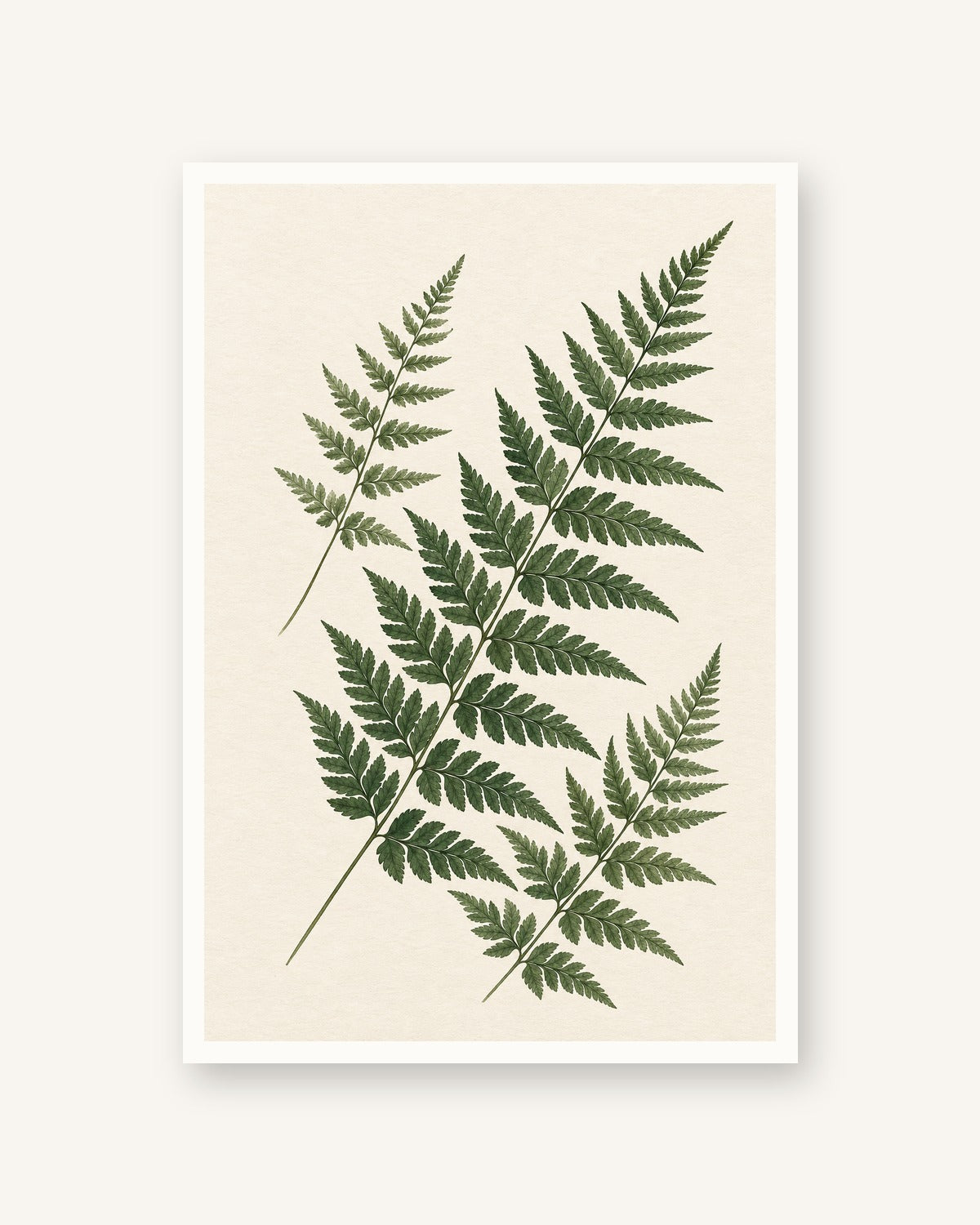 Feto · Quadro botânico — acabamento:poster