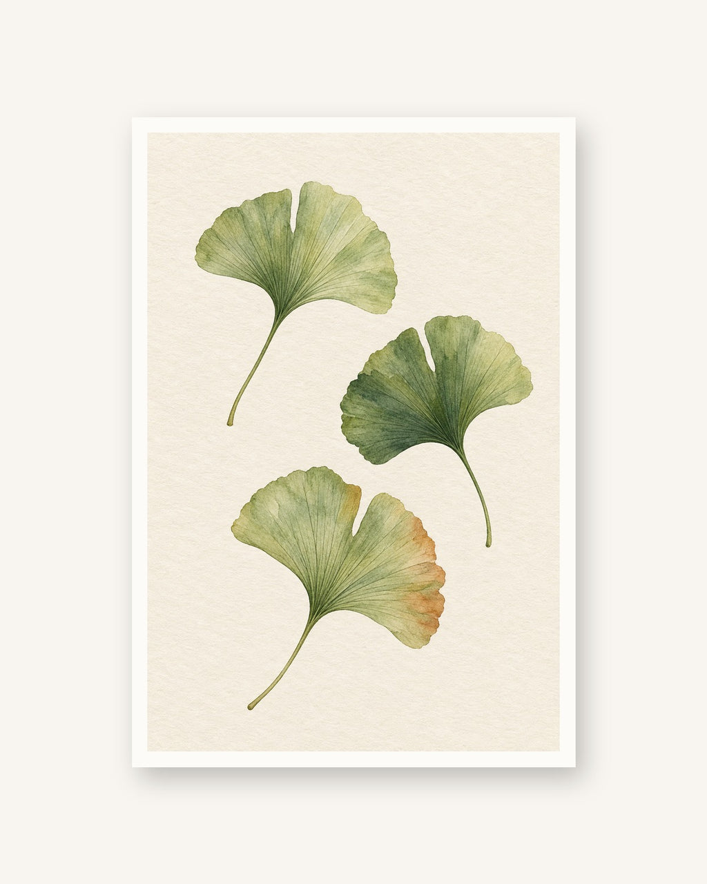 Ginkgo · Quadro botânico — acabamento:poster