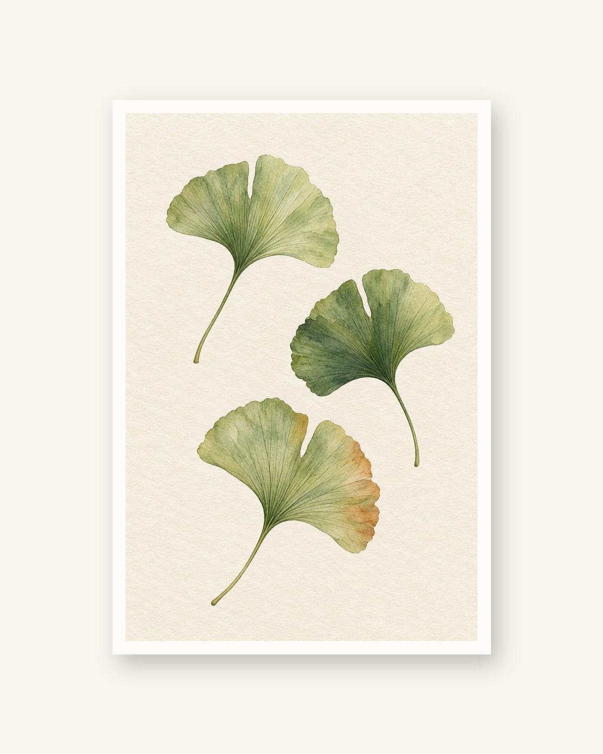 Ginkgo · Quadro botânico — acabamento:poster
