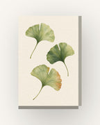 Ginkgo · Quadro botânico — acabamento:slim