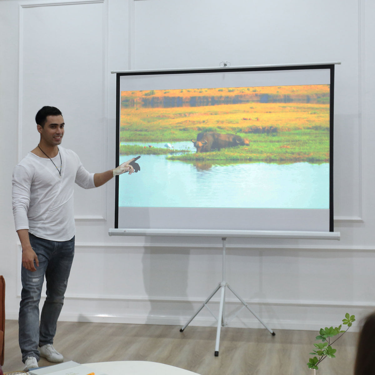 Tela de Projeção Dobrável 84 Polegadas Tela de Projeção Formato 4:3 com Altura Ajustável para Cinema em Casa Apresentações 180x203 cm Branco — foto 2