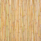 Cerca de bambu 300x100 cm — foto 6