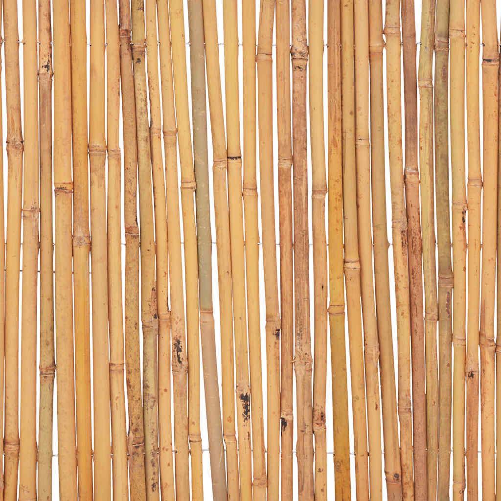 Cerca de bambu 500x50 cm — foto 6