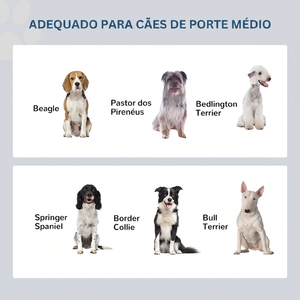 Comedouro Elevado para Cães com Suporte e 2 Tigelas Removíveis em Aço Inoxidável, para Comida e Água, 58,4x30,5x25,4 cm, Cinzento — foto 7