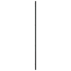 Espelho de parede retangular 30x100 cm ferro preto — foto 3