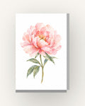 Peónia · Quadro floral em aguarela — acabamento:slim