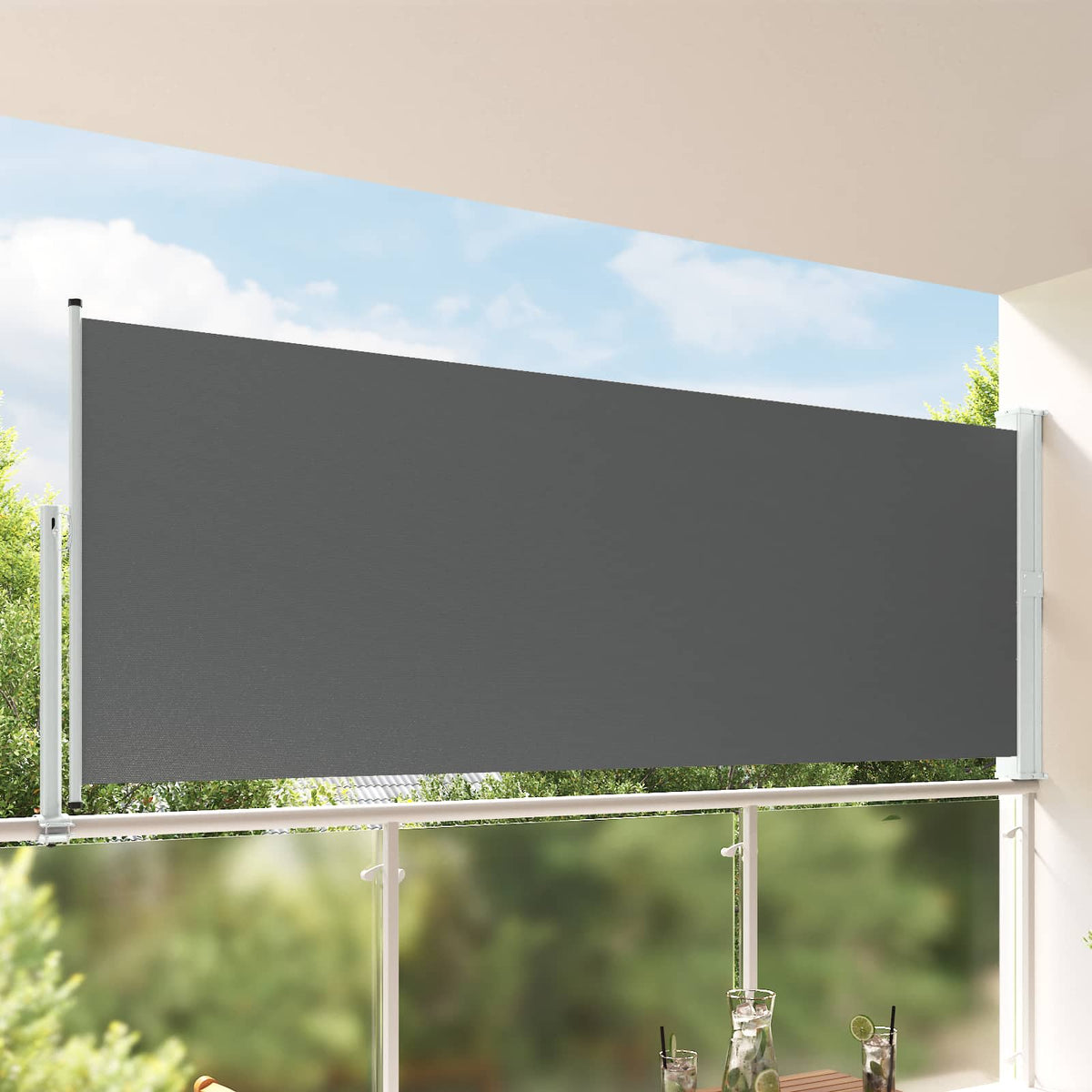 Toldo Lateral Retangular 160 x 300 cm Polyester Antracite — foto 1